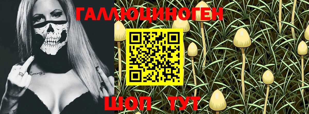Псилоцибиновые грибы Psilocybe  Вход с VPN  Сафоново 